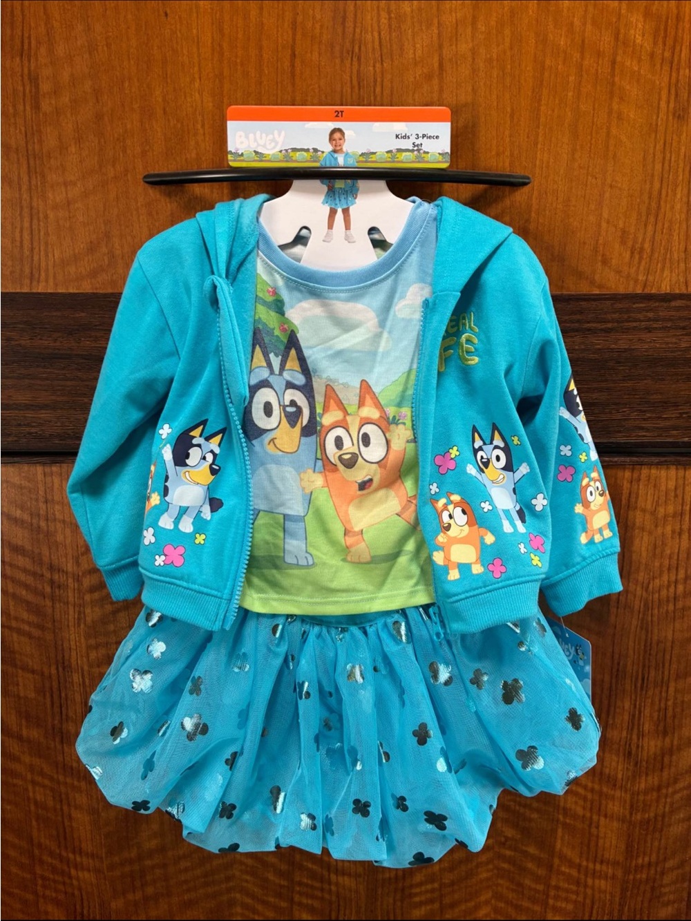 Blue Girls' 3-Piece Character Matching Set - Hoodie, Tee & Tulle Skirt